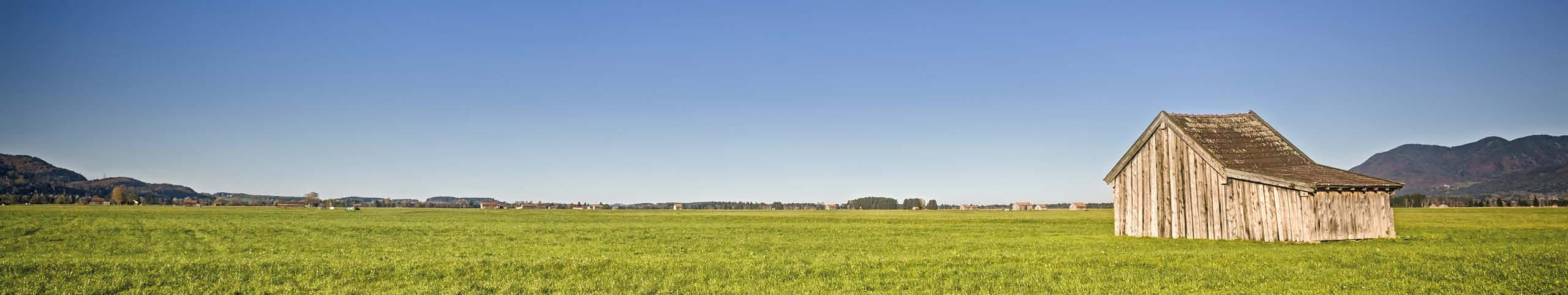 Huren Heide Huren Heide